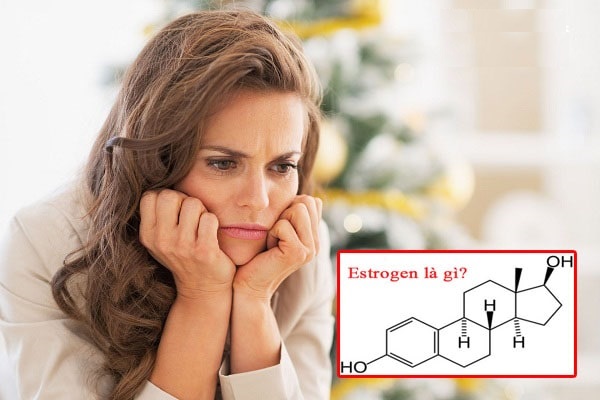 estrogen là gì, thiếu estrogen, bổ sung estrogen, tác dụng của estrogen, thiếu estrogen nên ăn gì, thiếu hụt estrogen, estrogen có tác dụng gì, tăng estrogen, nội tiết tố nữ estrogen, estrogen tăng cao, bổ sung estrogen bằng cách nào , bổ sung estrogen tự nhiên, cách bổ sung estrogen, giảm estrogen, bo sung estrogen tu nhien nhu the nao, uống estrogen, tăng estrogen bằng cách nào, suy giảm estrogen, tăng estrogen tự nhiên, cách làm tăng estrogen, cách làm tăng lượng estrogen trong cơ thể, biểu hiện thiếu estrogen, rối loạn estrogen, cân bằng nội tiết tố nữ estrogen, tăng cường estrogen bằng cách nào, suy giảm estrogen ở phụ nữ, cách làm tăng estrogen tự nhiên, dấu hiệu thiếu estrogen, bổ sung estrogen cho phụ nữ, thiếu nội tiết tố nữ estrogen, bo sung estrogen nhu the nao, làm sao để tăng lượng estrogen, dấu hiệu thiếu hụt estrogen, estrogen là chất gì