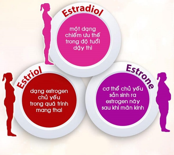 hormone estrogen là gì, bổ sung estrogen, thiếu estrogen, hoocmon estrogen, vien uong estrogen, thiếu estrogen nên ăn gì, tác dụng của estrogen, estrogen tăng cao, tăng estrogen, thiếu hụt estrogen, bổ sung estrogen bằng cách nào, cách bổ sung estrogen, thuốc bổ sung estrogen cho phụ nữ, estrogen có tác dụng gì, bổ sung estrogen tự nhiên, tăng cường estrogen bằng cách nào, suy giảm estrogen ở phụ nữ, bo sung estrogen tu nhien nhu the nao, cách tăng estrogen, giảm estrogen, nội tiết tố nữ estrogen, uống estrogen, bổ sung nội tiết tố nữ estrogen, cách làm tăng lượng estrogen trong cơ thể, tăng estrogen bằng cách nào, biểu hiện thiếu estrogen, hormone estrogen là gì, rối loạn estrogen, suy giảm estrogen, thieu estrogen nu, bo sung estrogen, bổ sung estrogen cho phụ nữ, cách làm tăng estrogen tự nhiên, tang estrogen o phu nu, tăng estrogen tự nhiên, dấu hiệu thiếu estrogen, cân bằng nội tiết tố nữ estrogen, thiếu nội tiết tố nữ estrogen, bo sung estrogen nhu the nao, cách làm tăng estrogen, làm sao để tăng lượng estrogen, dấu hiệu thiếu hụt estrogen, estrogen là chất gì