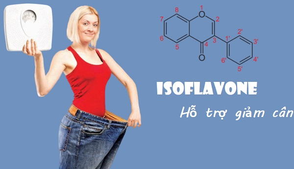 Isoflavone hỗ trợ giảm cân, Isoflavone là gì