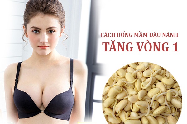 Quảng cáo, giới thiệu dịch vụ: [Xem ngay] Cách uống mầm đậu nành để tăng vòng 1 cực nhanh  Cach-uong-mam-dau-nanh-de-tang-vong-1