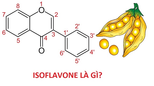hàm lượng isoflavone trong mầm đậu nành, mầm đậu nành isoflavone, mầm đậu nành isoflavones, isoflavone mầm đậu nành, tinh chất mầm đậu nành isoflavone, isoflavones mầm đậu nành uống