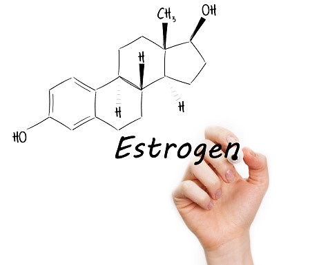 Estrogen là hormone quan trọng nhất quyết định sự nữ tính của người phụ nữ